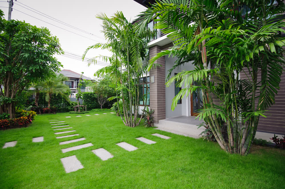 Large lawn with connecting paver path